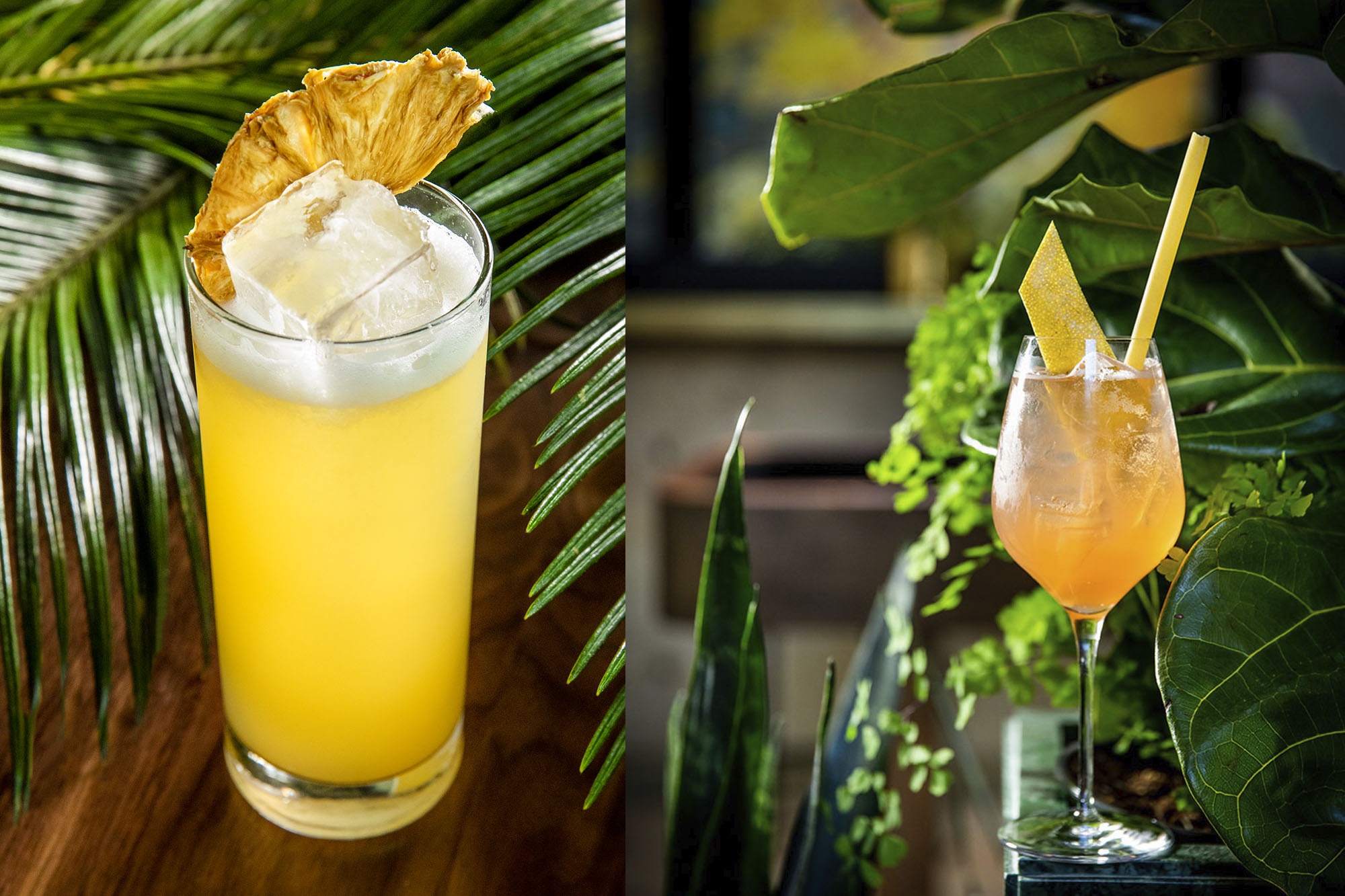 Exotic cocktails in a natural setting