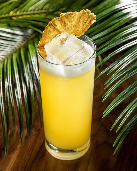 Tropical cocktail photographed for the bar Lemons in the Wythe Hotel.